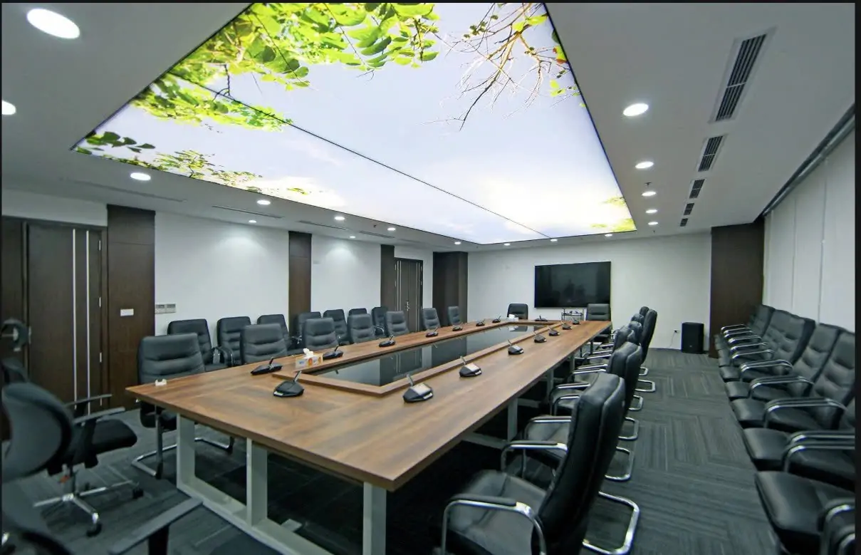 c&ocirc;ng tr&igrave;nh trần xuy&ecirc;n s&aacute;ng barrisol 18